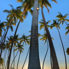 heavy IN THE background