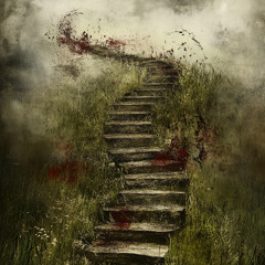 Winding Trail