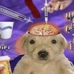 807