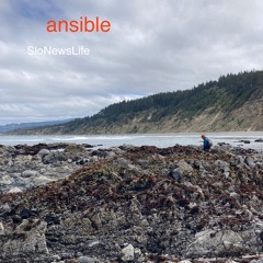 Ansible