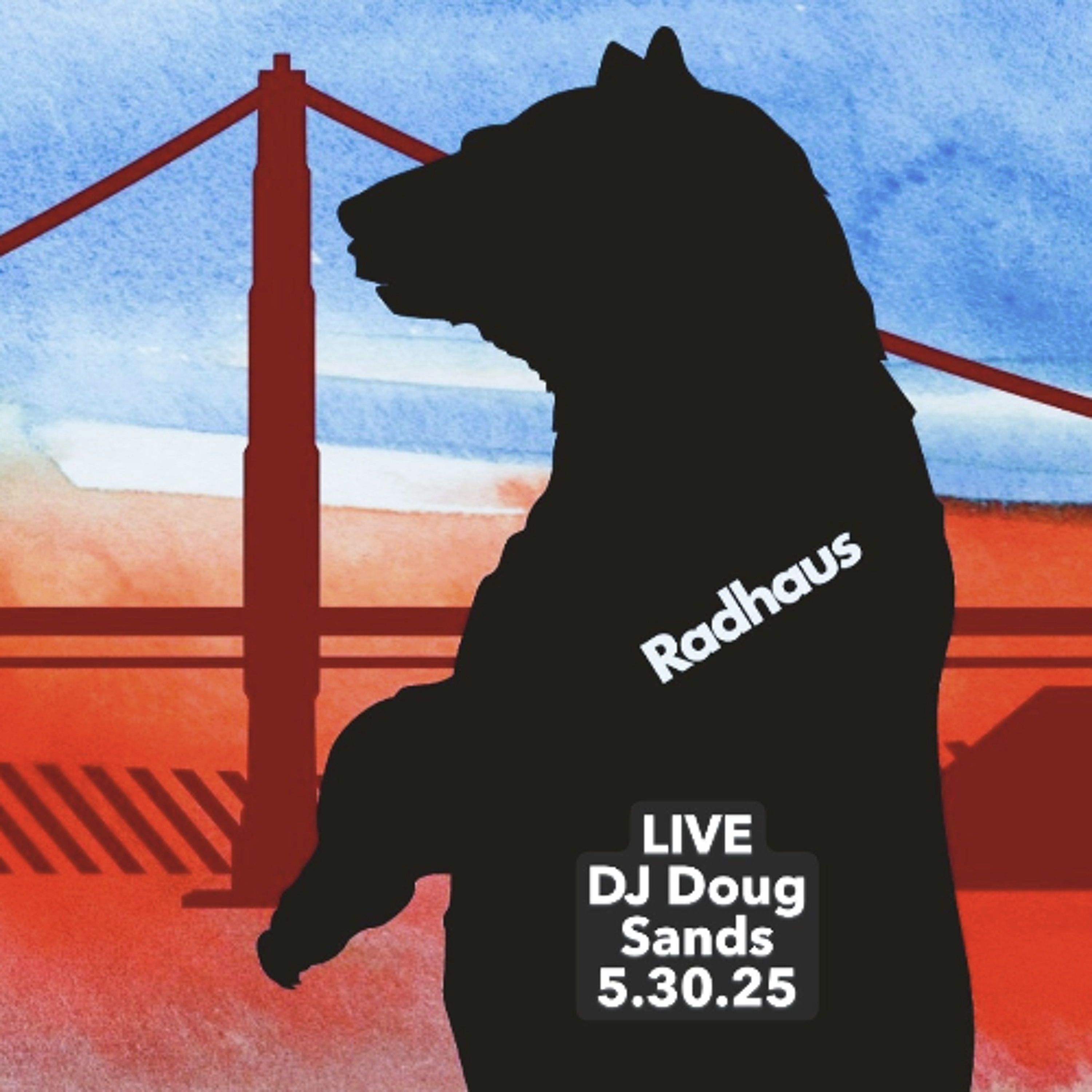 Sands Ranch Mixes (DJ Doug Sands)