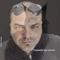 Le pouvoir des animaux.