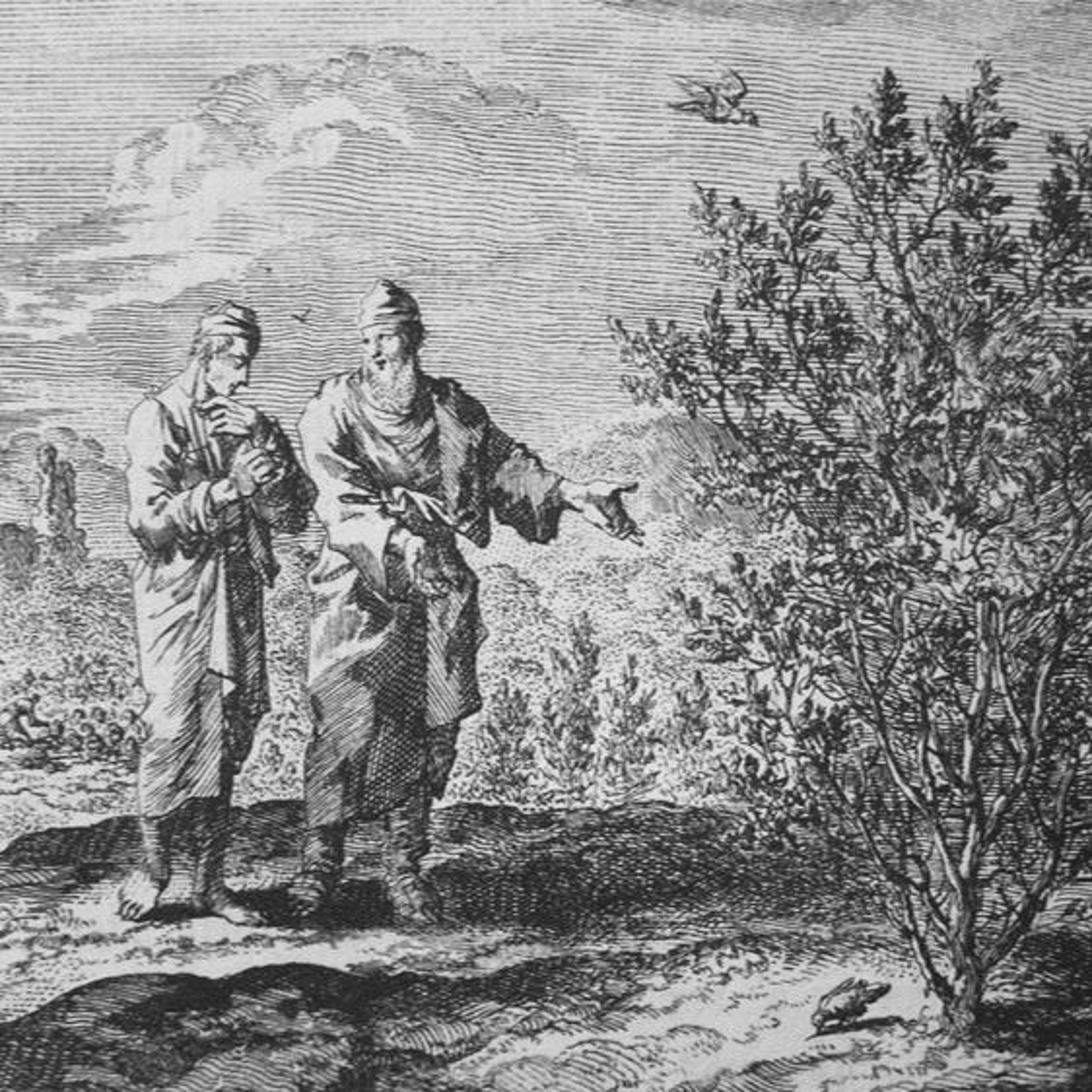 Faith, Hope and Love. Hear what St. Paul and Jesus Says About Hope episode artwork