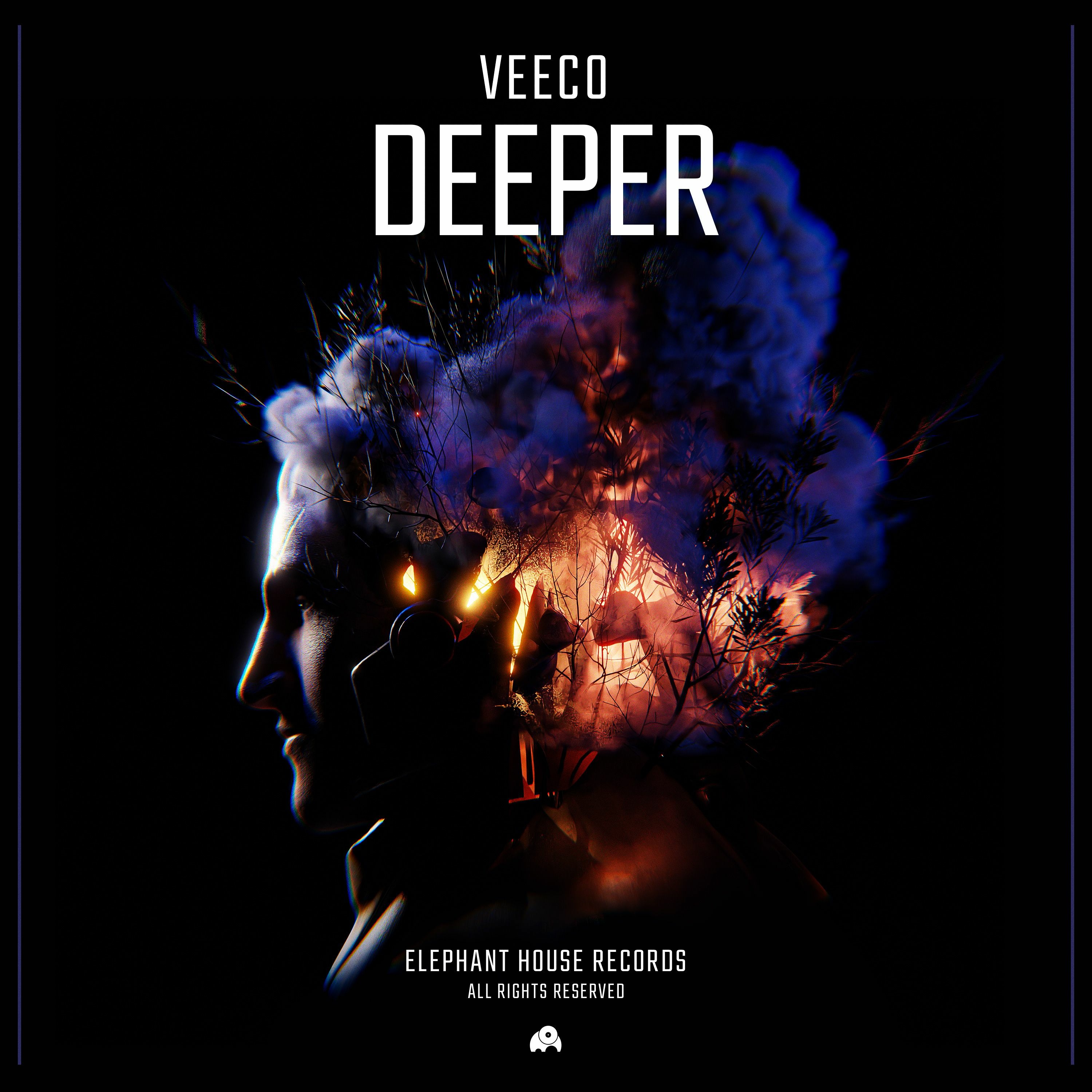 veecomusic