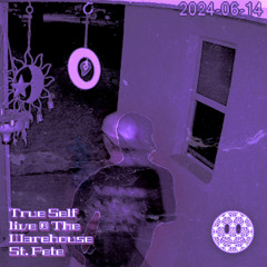 True Self Live @ The Warehouse St. Petersburg, Florida 4:00am [PROMO]