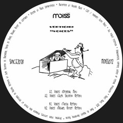Vertigini - Voices (Original Mix)