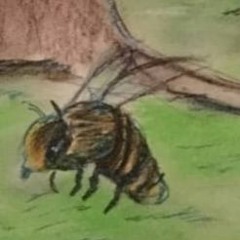 Buzzing Bee Animosity ¨(collab Saskia x Quick on the drawing)