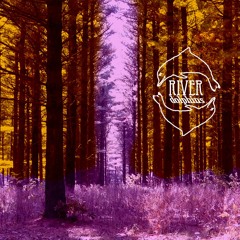 Forest Walk