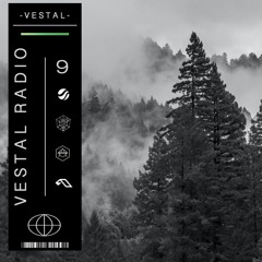Vestal Radio 9 ft. Joshua Stephen [Fisher/Drake/Rufus Du Sol]