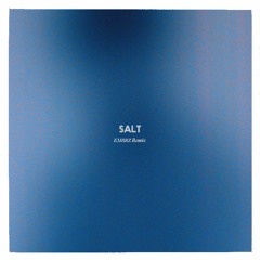 Salt (EMBRZ Remix)