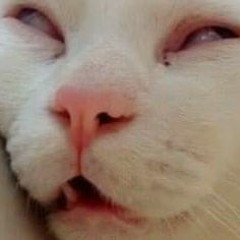 Ripp Those Ripples Crapmix