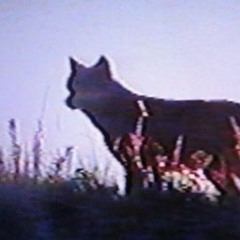 anoche me soñé colgado