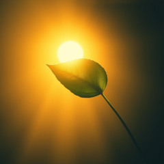 Light of Lucentia