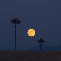 2Shay - The Dessert at Night