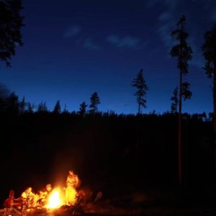 Terapia do Sono - Floresta a noite com sons de fogueira, grilos e vento - Para Relaxar e Dormir