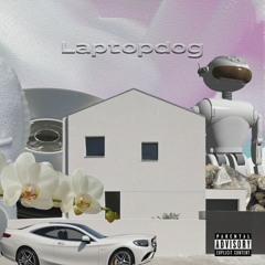 Laptopdogg