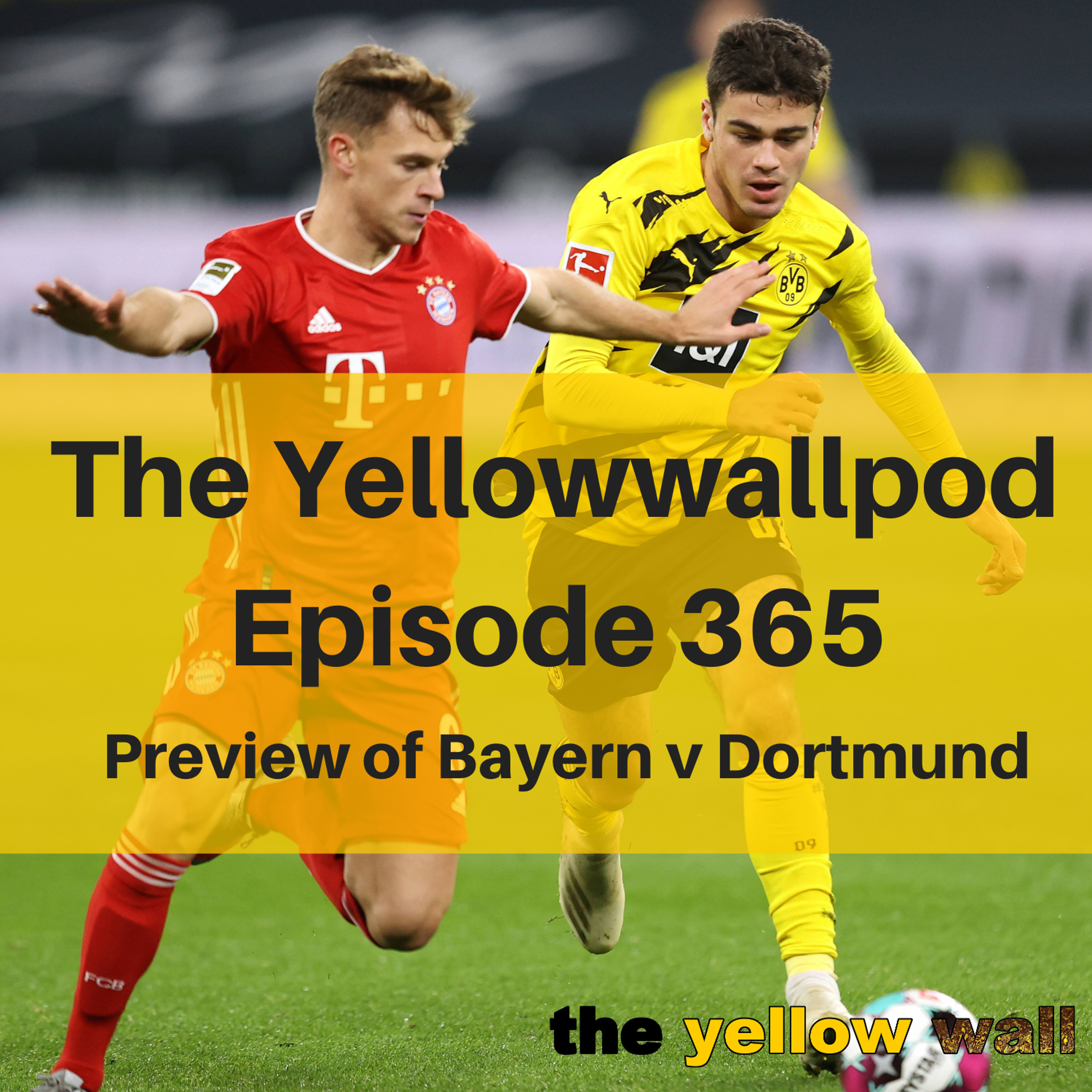 Yellowwallpod