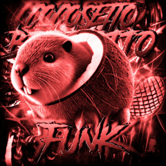 COCOSETTO BOBRETTO FUNK - Slowed