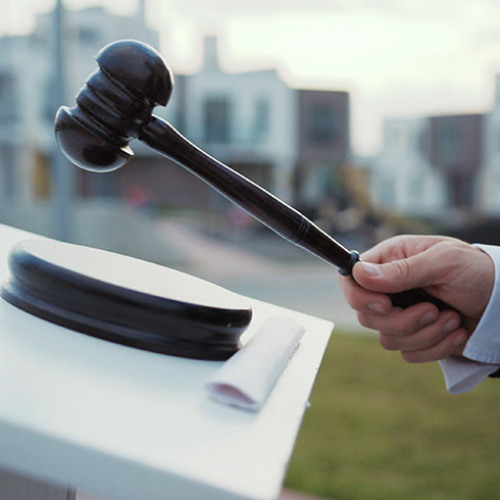 Budgeting for Extra Costs Beyond the Hammer Price in Auctions