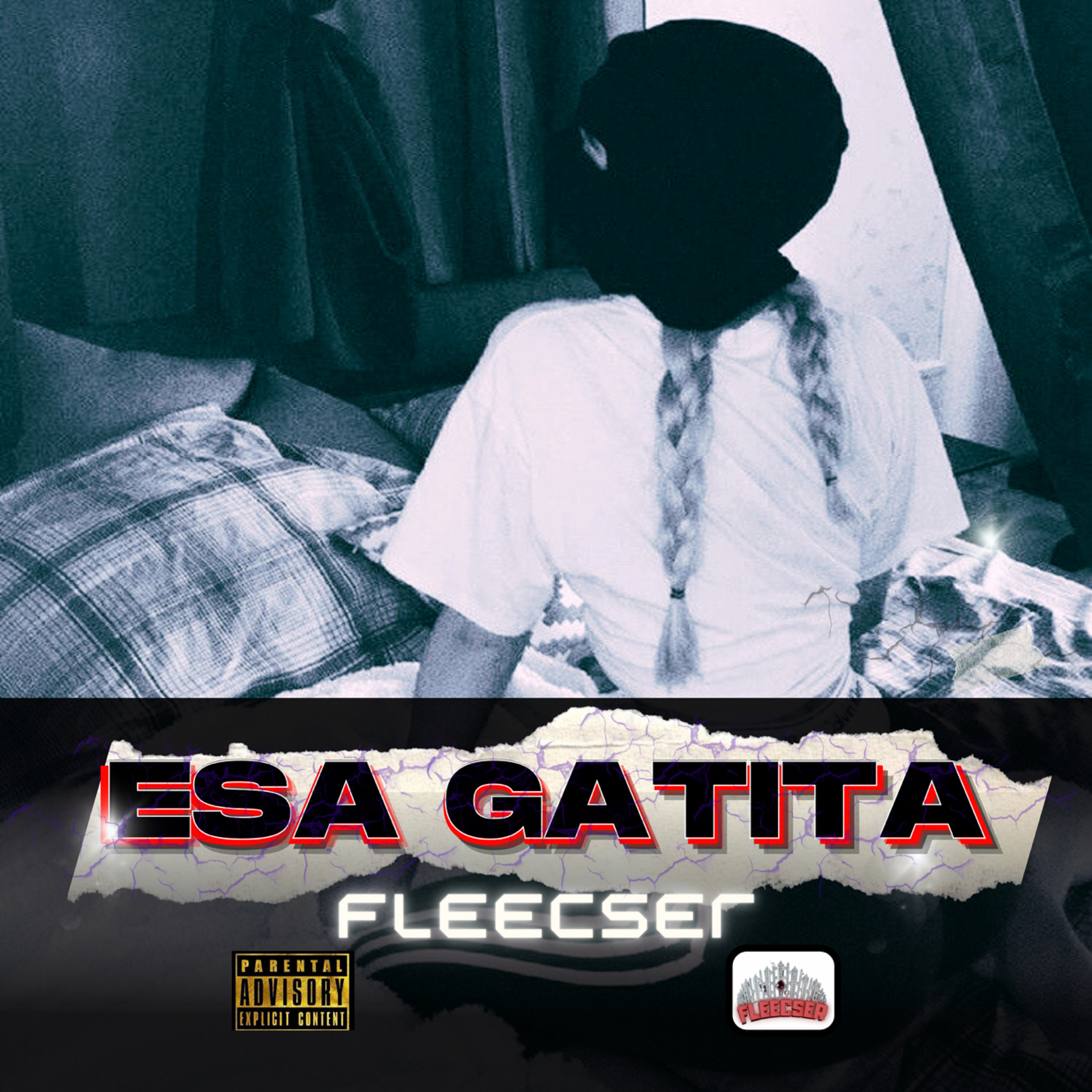 Portada de Fleecser Producer