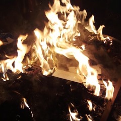 FCK.Y.N.I. FT fxrisyttt