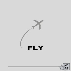 Fly