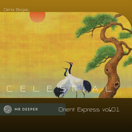 Celestial - Mr Deeper