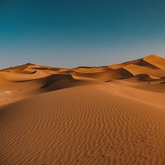 Desert Nomad