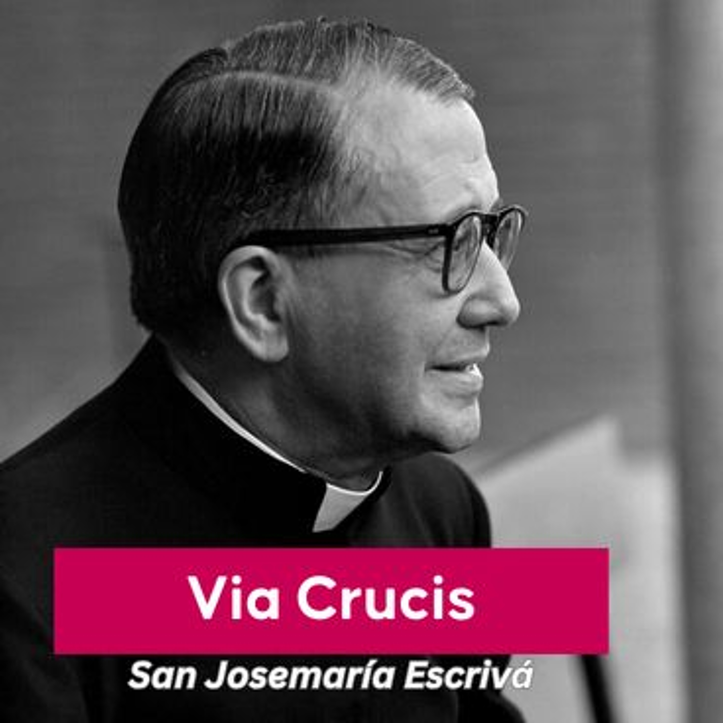 VI Estación - Una piadosa mujer enjuga el rostro de Jesús