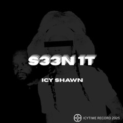 S33N 1T
