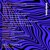 Artwork for NEO TRiPPY - 007