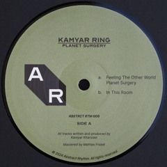 PREMIERE : Kamyar Ring - Feeling The Other World