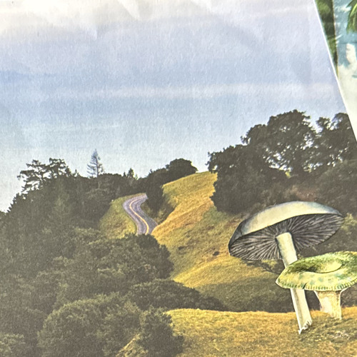 Cosmic Voyage @ Mindful Music Lab