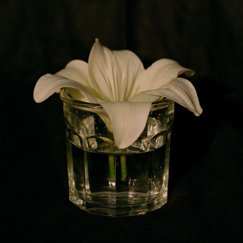 blurred (silas roe + larua)