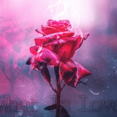 WHAT IS LOVE (Official Audio)
