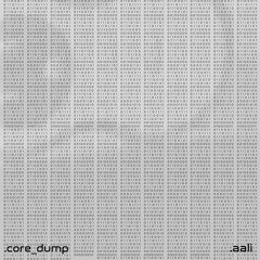 .aali - Core Dump (Original Mix) [Integrate Records]