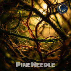 Pine Needle