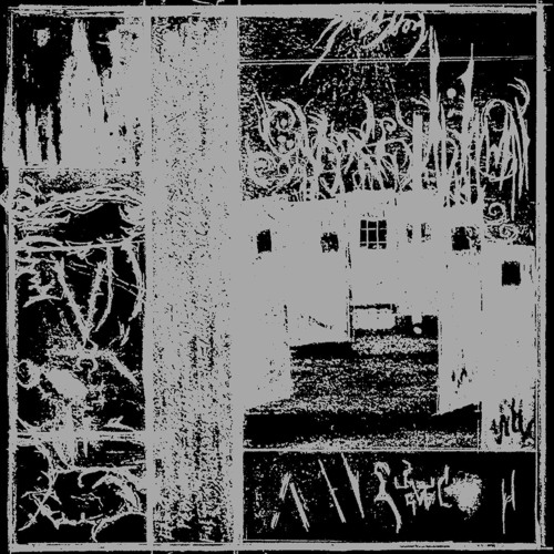 CYTOXCIS (2024)