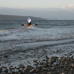 kayaking in the puget sound soon excitement