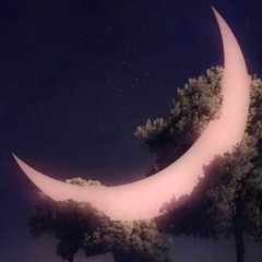 let me take you with me tonight