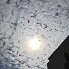 Daytime