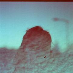 Trying To Make Sense Of It All