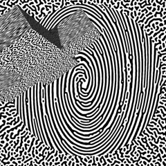 bucked off my high horse