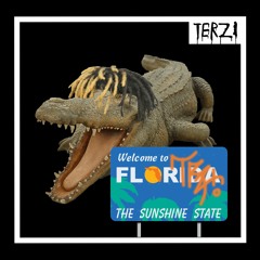 FLORIDA SOUND (TERZI REMIX)