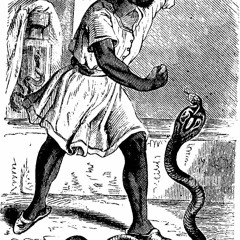 Snake Charmer. - BOOM BAP INSTRU