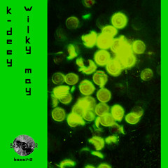 K-Deey - Wilky May (Original Mix)
