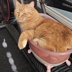 DJ Kitty400 - House of Errors 20.mp3