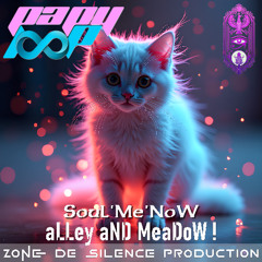 SouLMeNoW - aLLey aND MeaDoW !