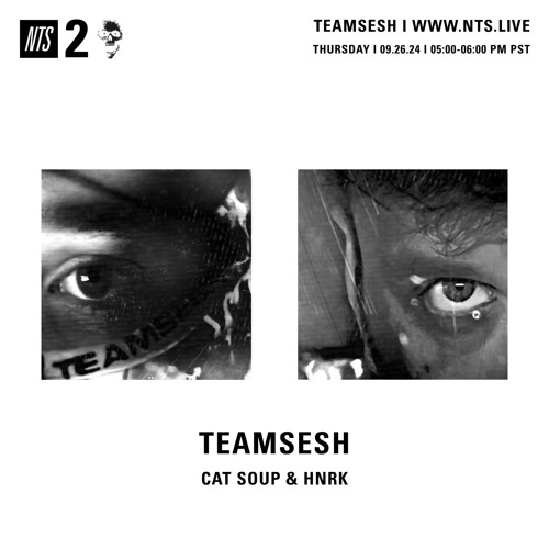 Copy of Related tracks: TeamSesh NTS 26th September 2024: Cat Soup & hnrk