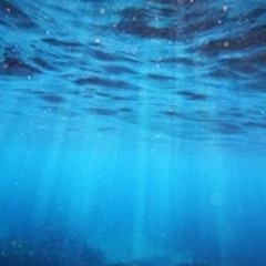 Endless Ocean.mp3